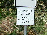 SM